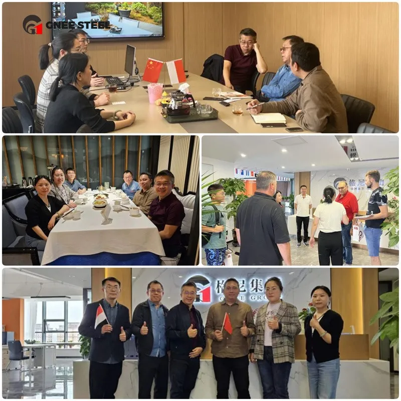 Gnee Customer visit Gnee Customer visit