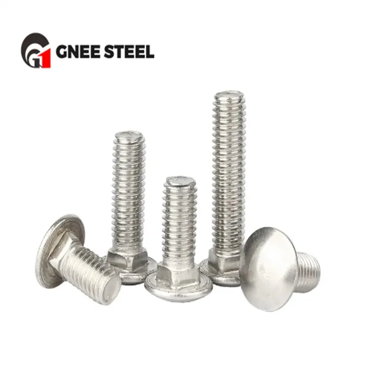 Stainless hlau SS304 SS316 Carriage Bolts